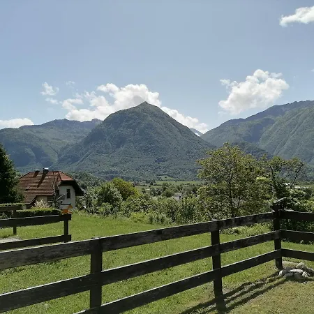 Apartma Tm Apartman